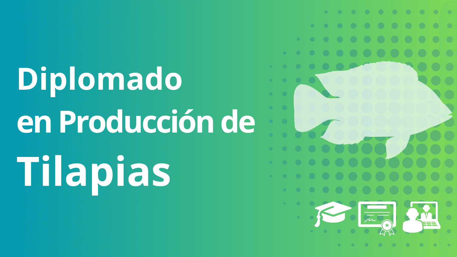 Diplomado en producción de tilapia