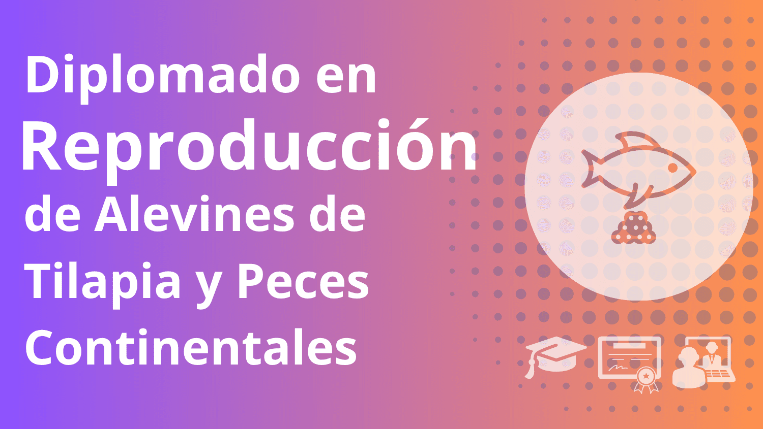 Diplomado en reproduccion de tilapias y peces continentales