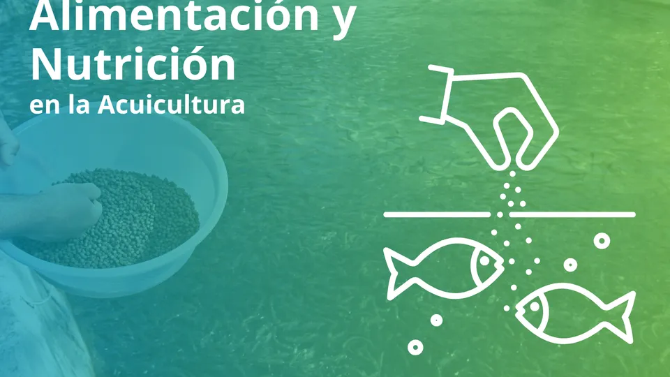 Alimentación y nutrición en la acuicultura