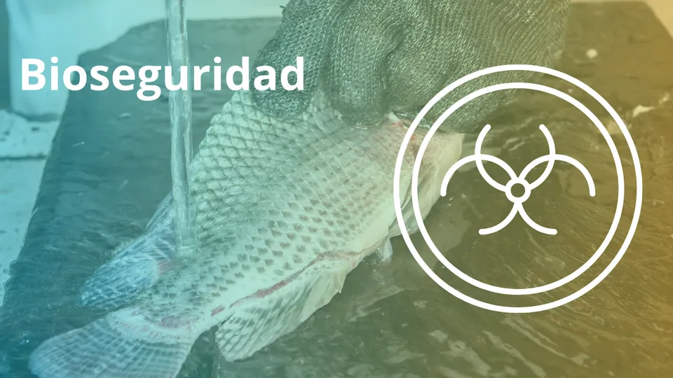 Bioseguridad en la acuicultura