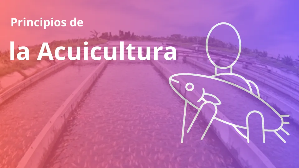 Principios de la Acuicultura