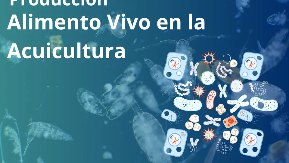 Produccion de alimento vivo en la acuicultura
