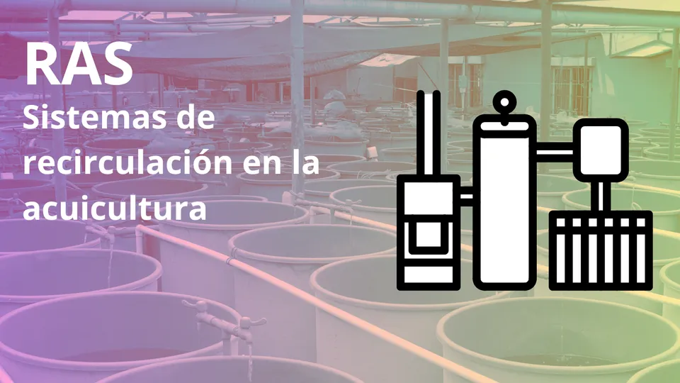 Sistemas de recirculación en la acuicultura