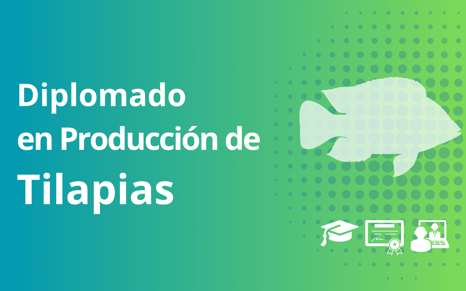Diplomado en producción de tilapia