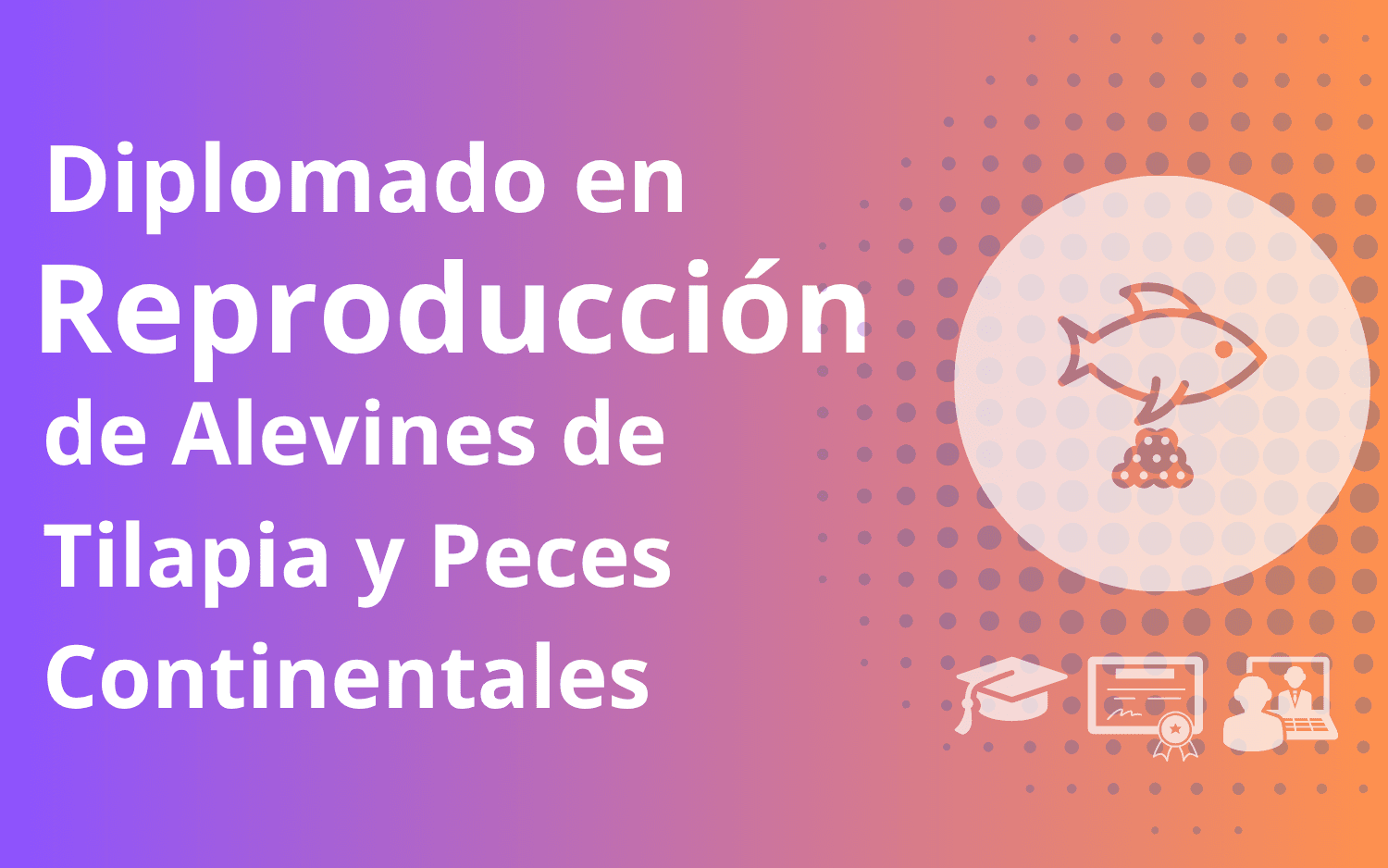 Diplomado en reproduccion de tilapias y peces continentales