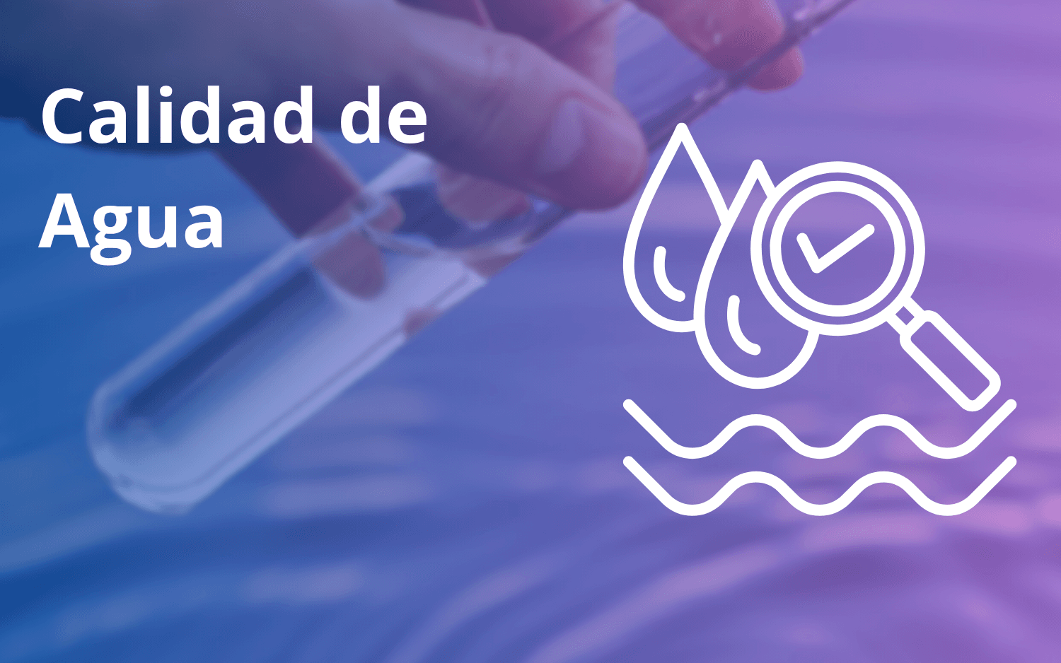 Calidad de Agua en la Acuicultura