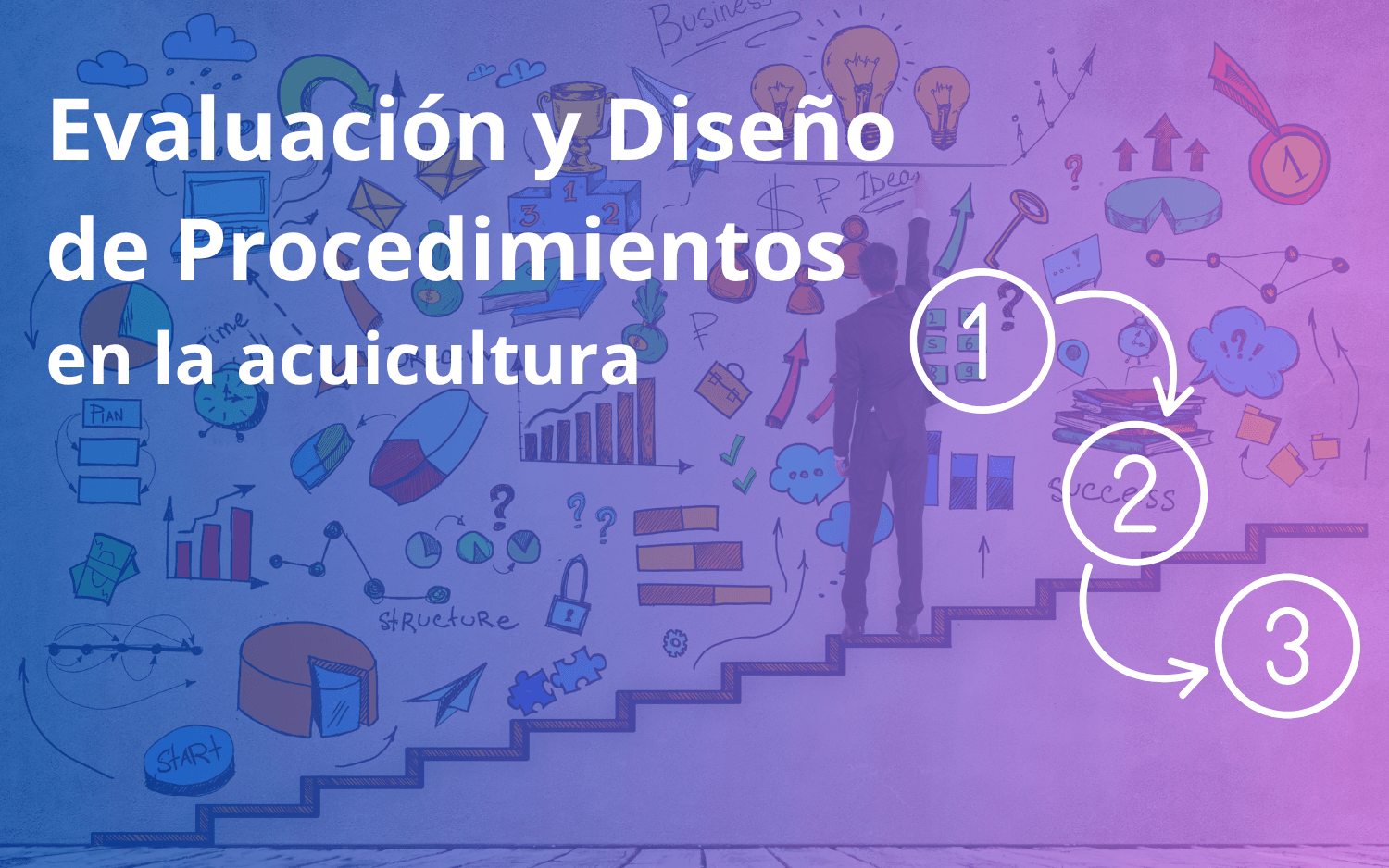 Evaluación y Diseño de procedimientos en Empresas Acuícolas