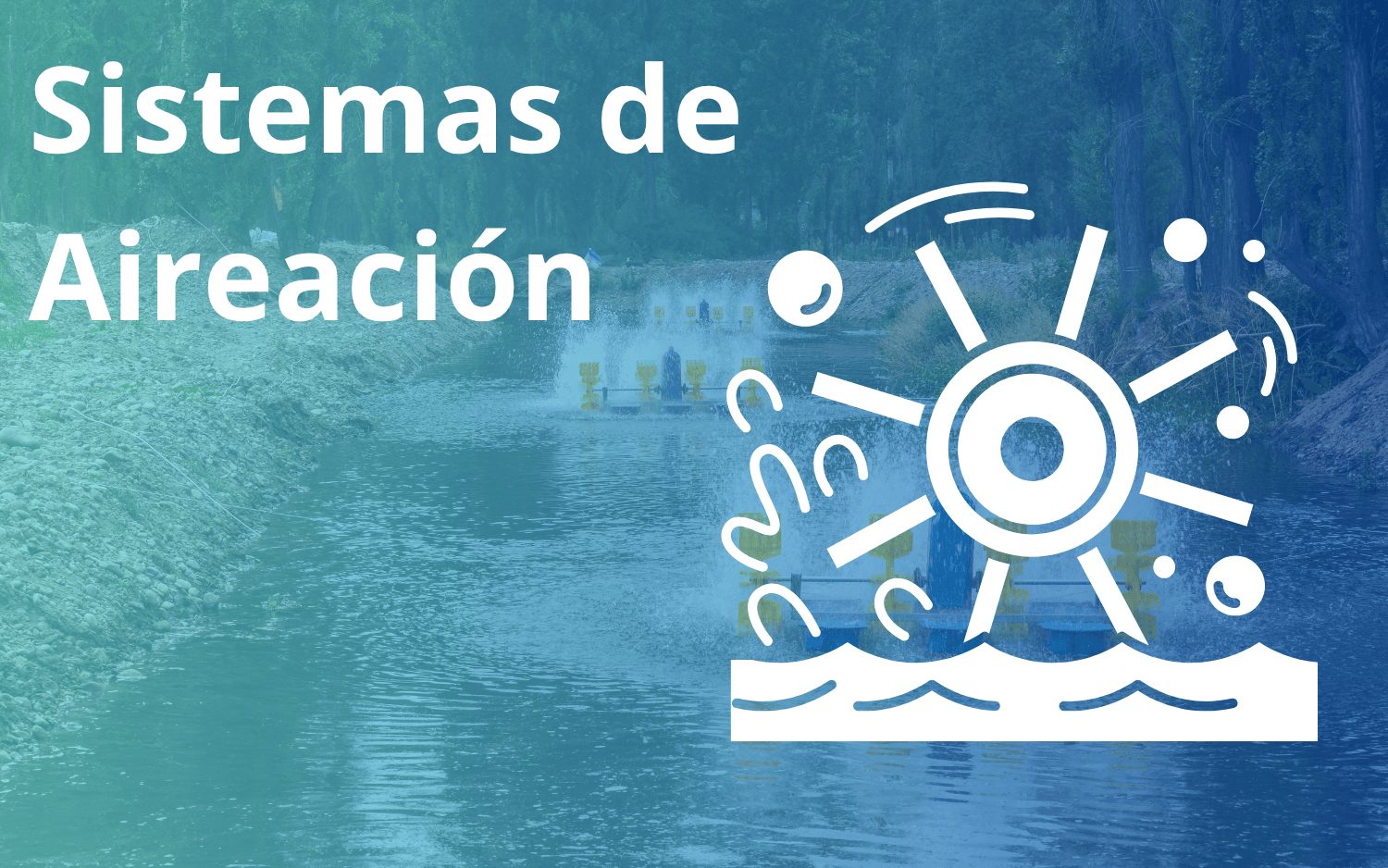 Sistemas de Aireación y Manejo Adecuado del Oxigeno en la Acuicultura
