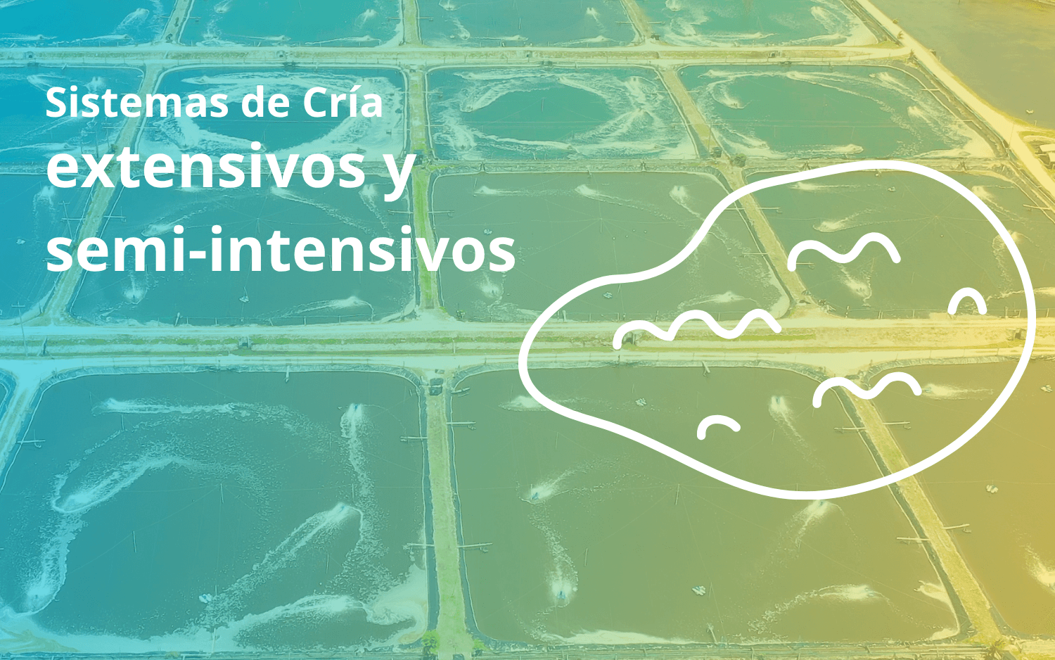 Sistemas de Cría Extensivos y Semi-Intensivos para Cultivos de Peces de Aguas Cálidas
