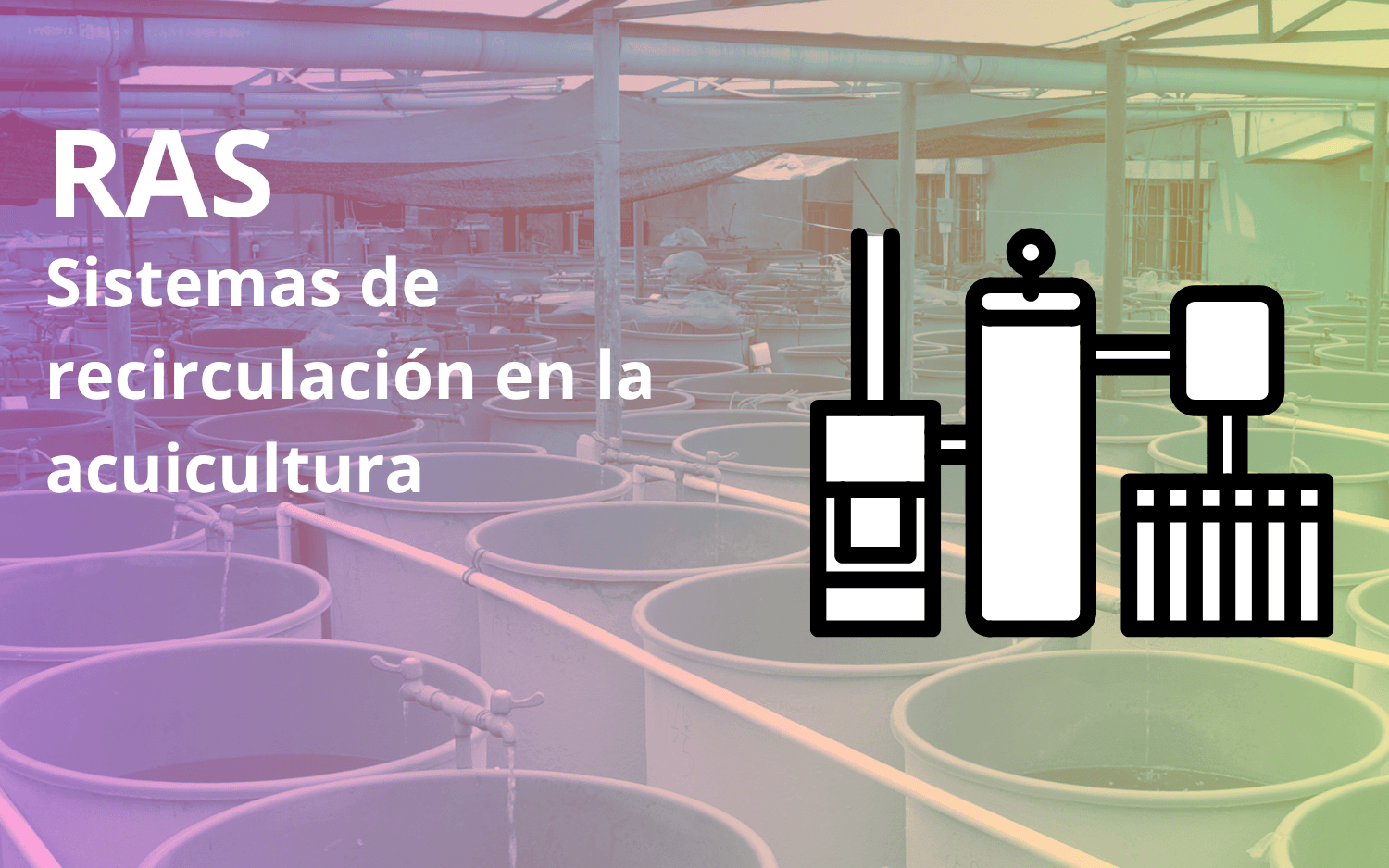 Sistemas de recirculación en la acuicultura