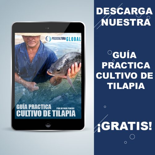 Pisciculturaglobal