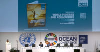 El estado mundial actual  de la Pesca y Acuicultura, (SOFIA), según la FAO.