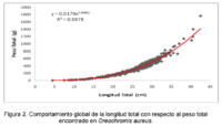 Relación entre longitud y peso de peces: clave para una acuicultura rentable de la tilapia