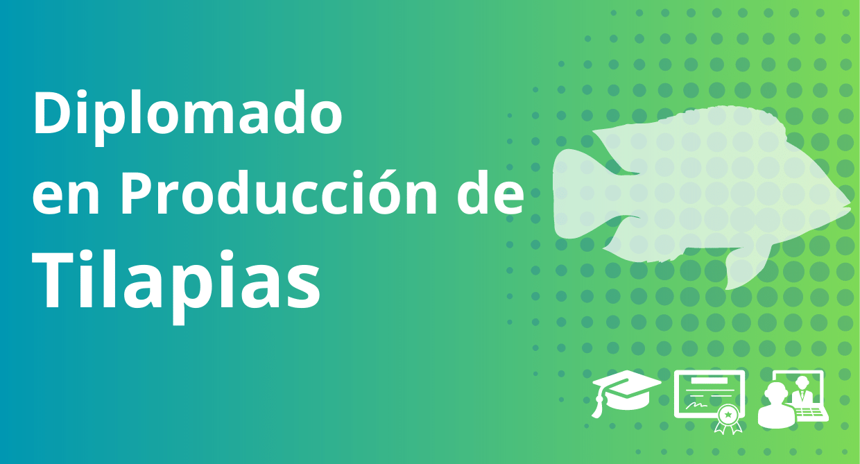 Diplomado en Producción de Tilapia - Colombia