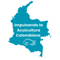 DIPLOMADO PRESENCIAL COLOMBIA