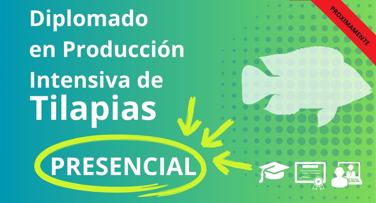 Diplomado en Producción Intensiva de Tilapia - Colombia