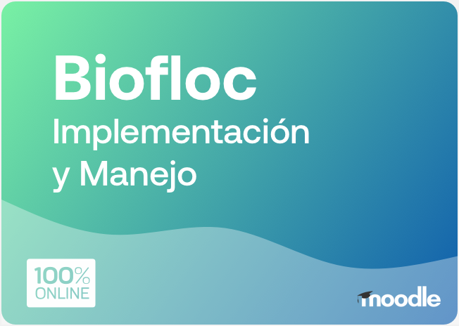 biofloc