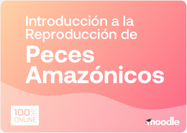 peces_amazonicos